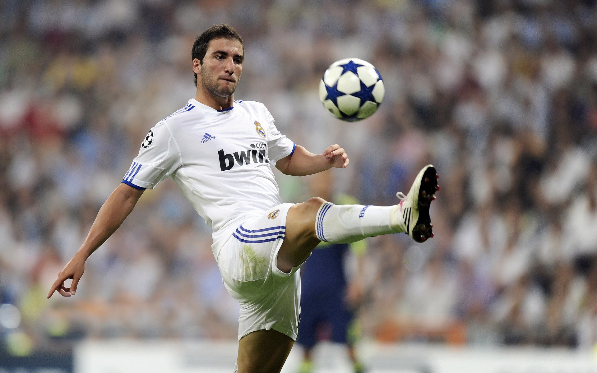 欢聚一堂:全球足球节开启新篇章,欢乐足球串词